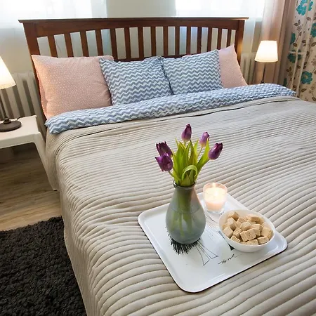Spacious & Centrally Located Apartment Apartment Vilnius